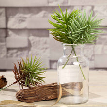 Load image into Gallery viewer, Set of 3 | 7" Spiky Crassula Decorative Artificial Plants