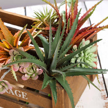 Load image into Gallery viewer, Set of 3 | 12" Aloe Cameronii Decorative Artificial Plants