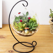 Load image into Gallery viewer, Set of 3 | 12" Aloe Cameronii Decorative Artificial Plants