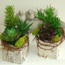 Load image into Gallery viewer, Set of 3 | 7" Spiky Crassula Decorative Artificial Plants