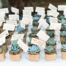 Load image into Gallery viewer, Set of 3 | 3'' Assorted Mini Echeveria Artificial Plants with Pots