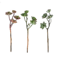 Load image into Gallery viewer, Set of 3 | 13" Assorted Artificial Succulent Plants Echeveria Long Stem Air Plants
