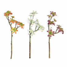 Load image into Gallery viewer, Set of 3 | 18" Assorted Artificial Succulent Plants Aeonium Spray Long Stem Air Plants
