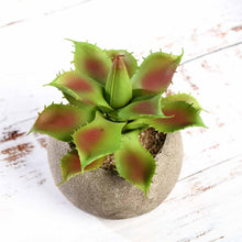 Load image into Gallery viewer, Set of 3 | 5" Assorted Aloe Varietal Artificial Plants with Pots
