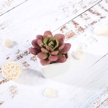 Load image into Gallery viewer, Set of 3 | 3'' Assorted Mini Echeveria Artificial Plants with Pots
