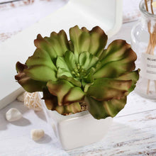 Load image into Gallery viewer, Set of 3 | 6'' Assorted Echeveria Artificial Plants with Pots
