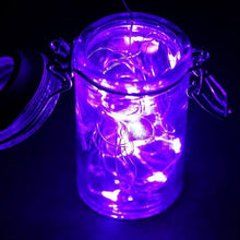 Load image into Gallery viewer, 6FT Wholesale Purple Wedding Party Decor Outdoor LED Light Lamp Fairy Strings
